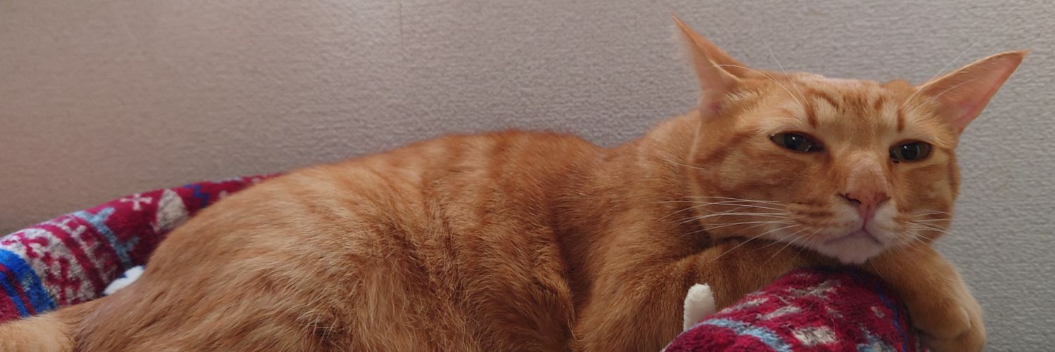 ひさねあきら【6日超武装演舞/東3ひ35a】 banner