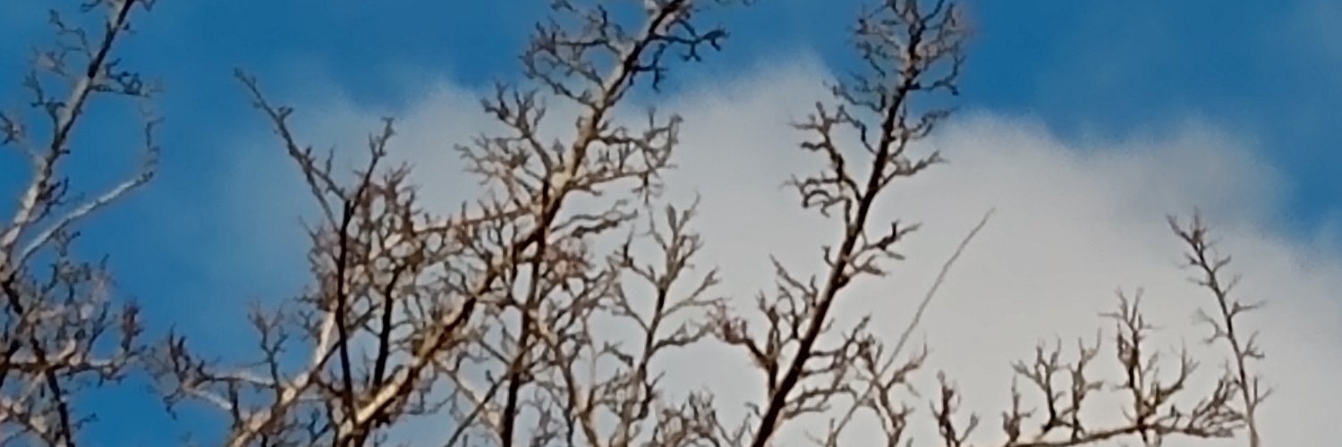 Persistent Feminist banner