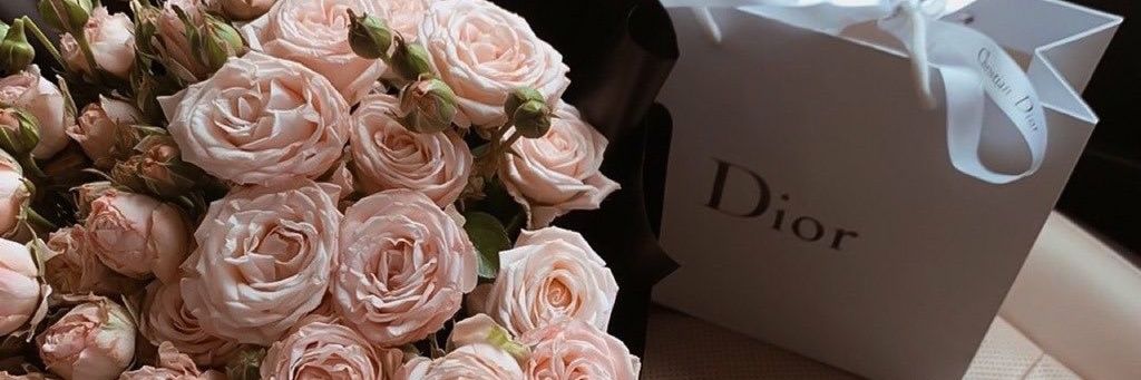 Beauty ✨'s banner