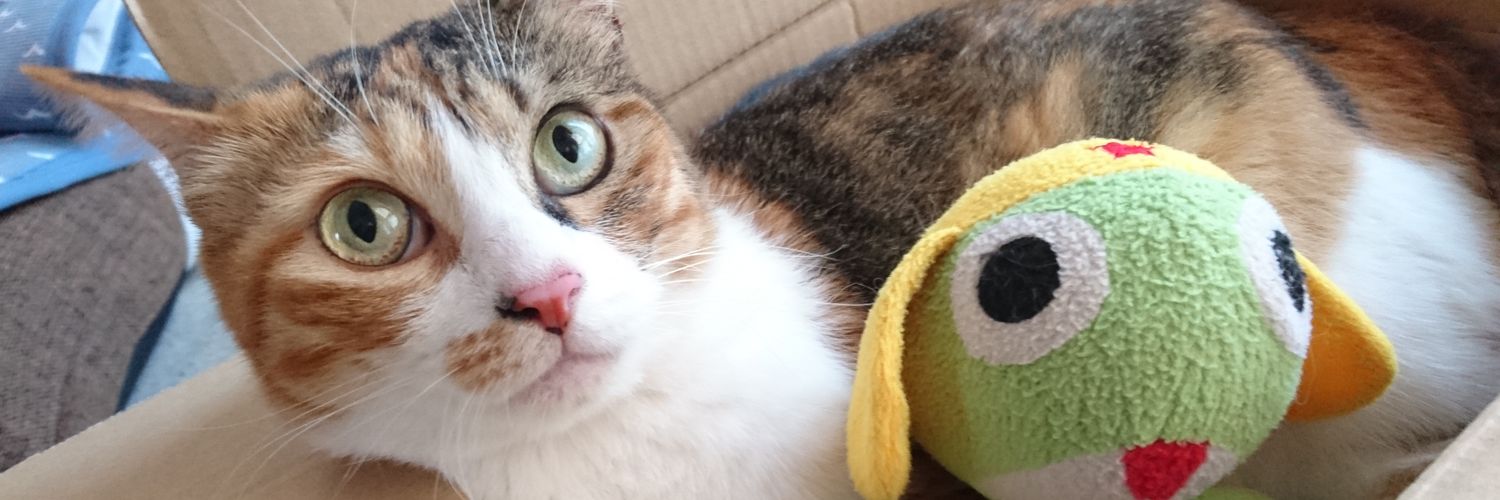 MAMEMAMEMAME816's profile banner image