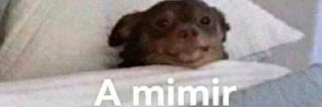 Cieguito Volador banner