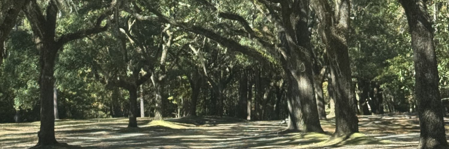 smithmsmd's profile banner image