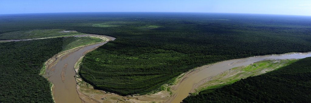 Banco de Bosques banner