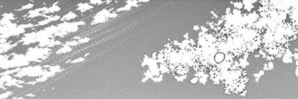 mareinfts's profile banner image