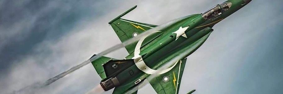 freedom fighter banner