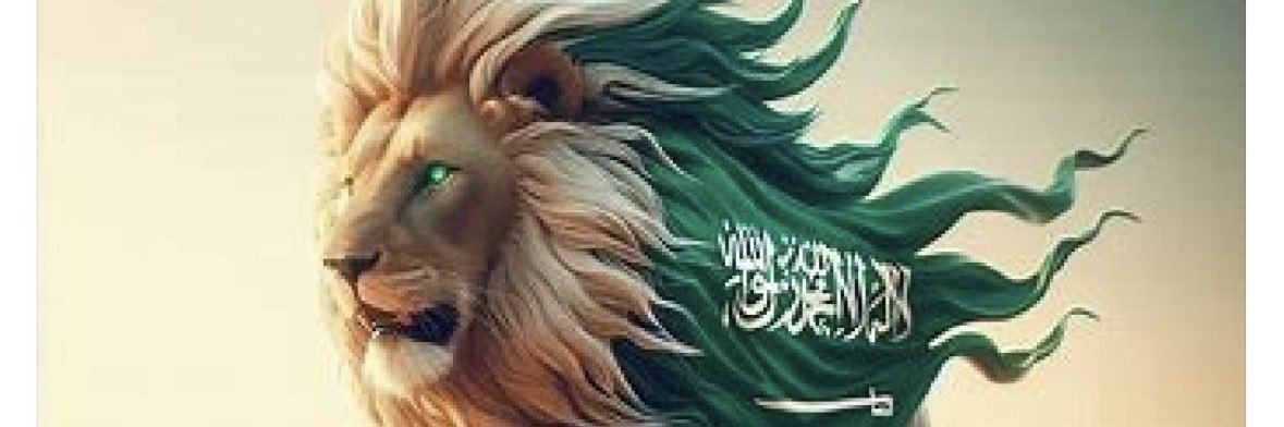 🕌ديرتي🕌 banner