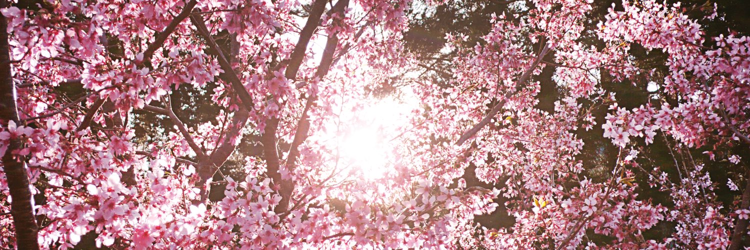 Delete_Again's profile banner image
