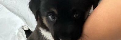 Ernestvaly's profile banner image