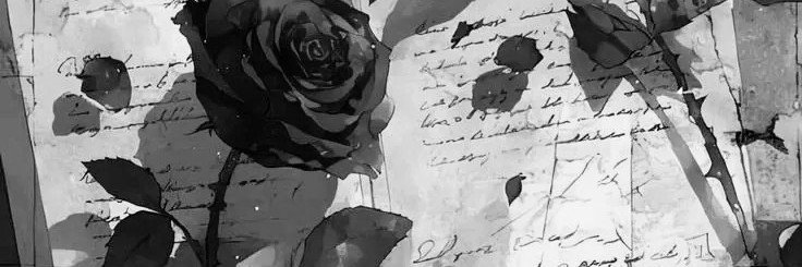llumdenuit's profile banner image