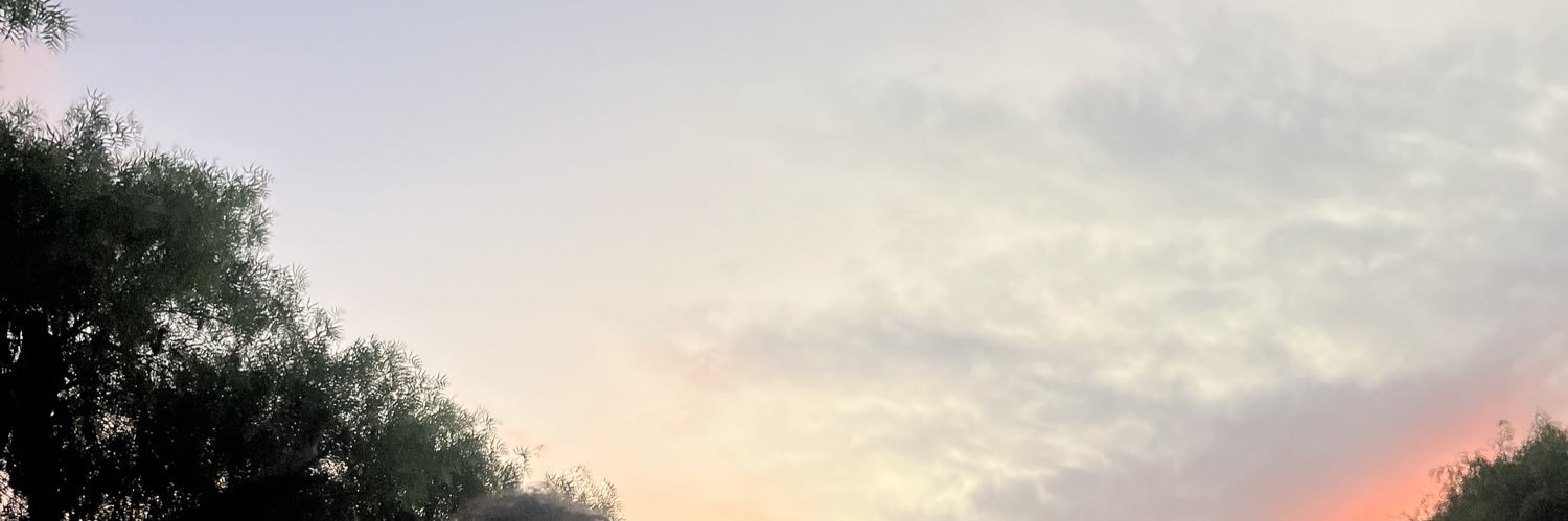 vickyochoaa's profile banner image