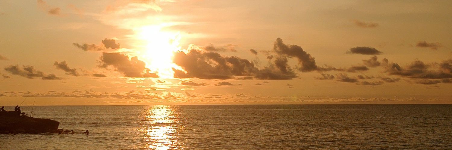 katanyaralin's profile banner image