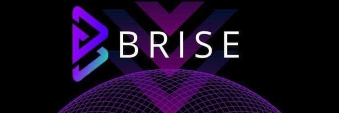 👑Bitgert Brise Queen👑 banner