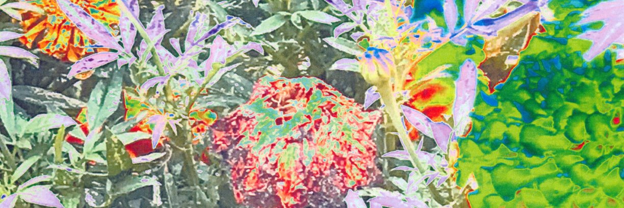 travess's profile banner image