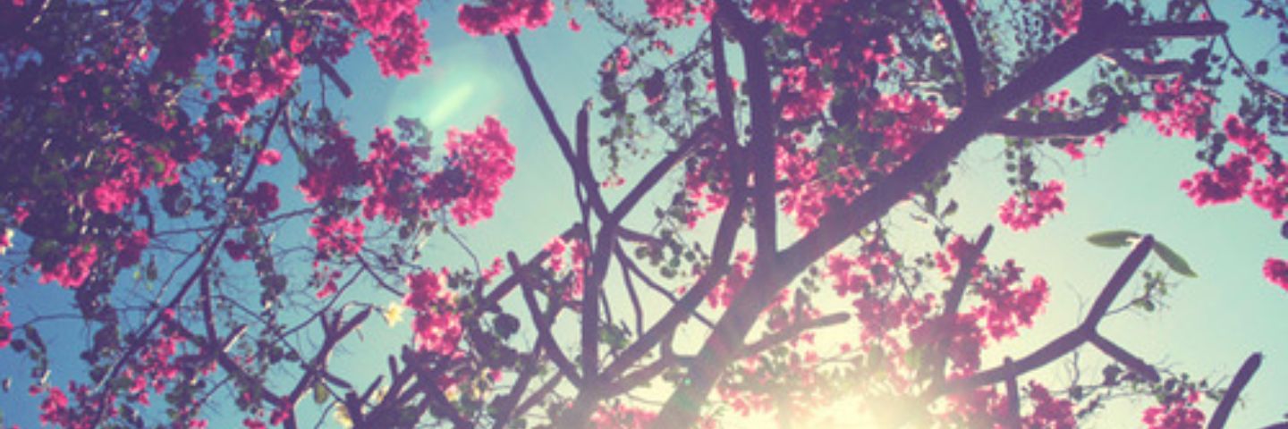 mcs_98's profile banner image