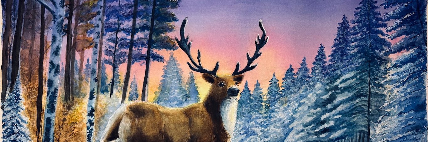 Will Conlon 🇨🇦 banner