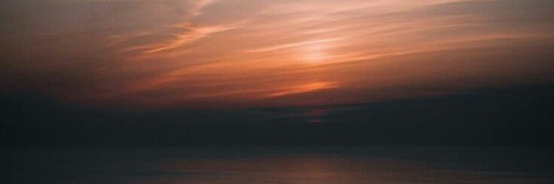 Alex Sujon 🔥 banner