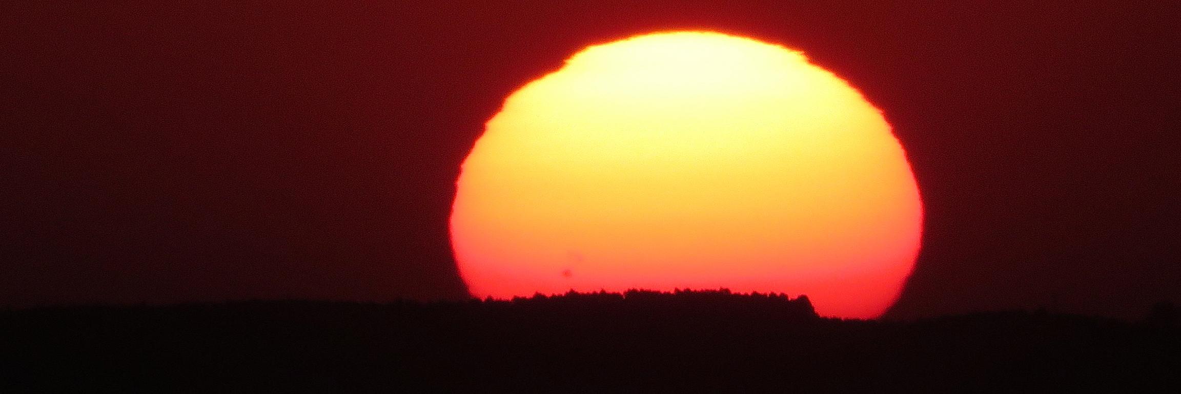 sErgio mOreira banner