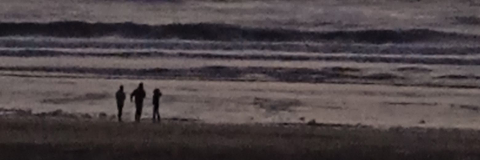 OzTturkey's profile banner image