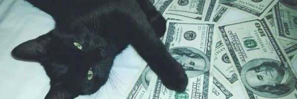 vikodfiwn Profile Banner