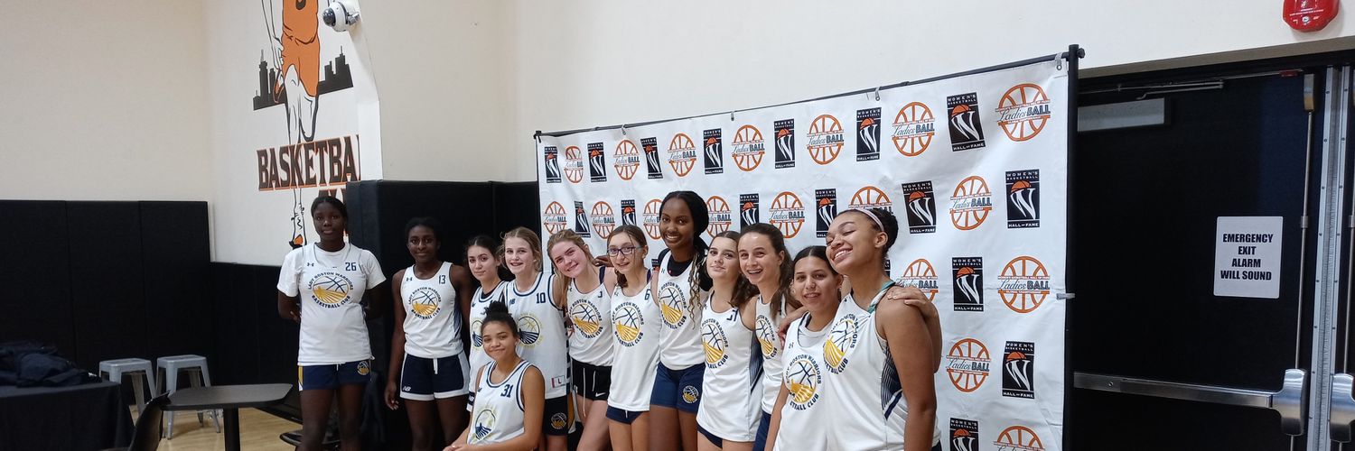 BOSLadywarriors's profile banner image