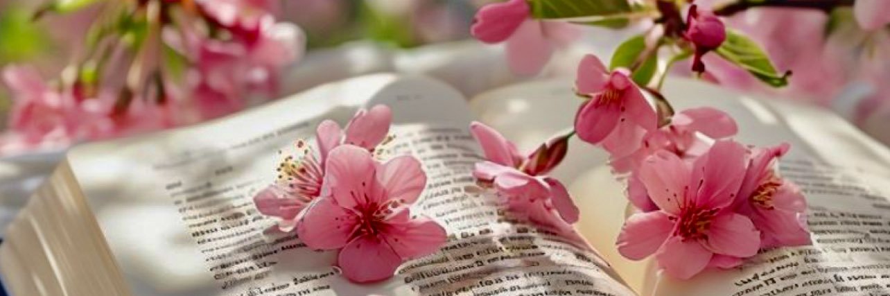 ..𝓡𝓞𝓐𝓐.. banner