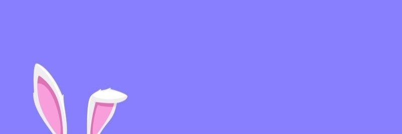 theNFTRabbit's profile banner image