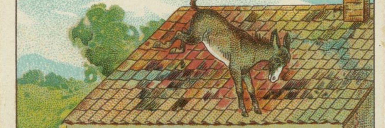 This life is back to front 🇪🇺🇺🇦🇺🇲🇫🇷🇬🇧 banner