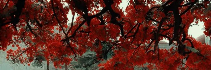 clmnnt16's profile banner image