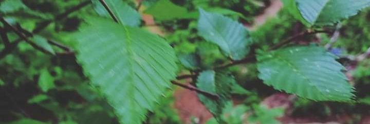 AustinGBiv's profile banner image