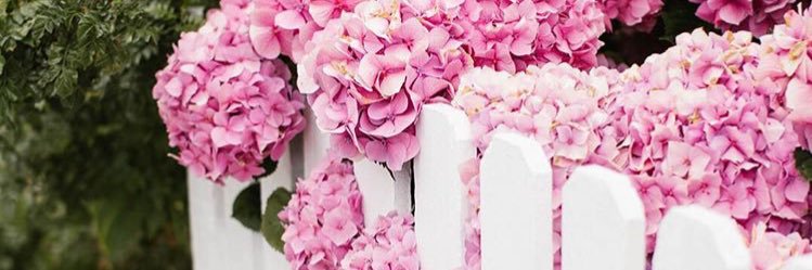 lenashepherd56's profile banner image