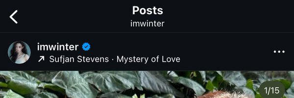 winterolis Profile Banner