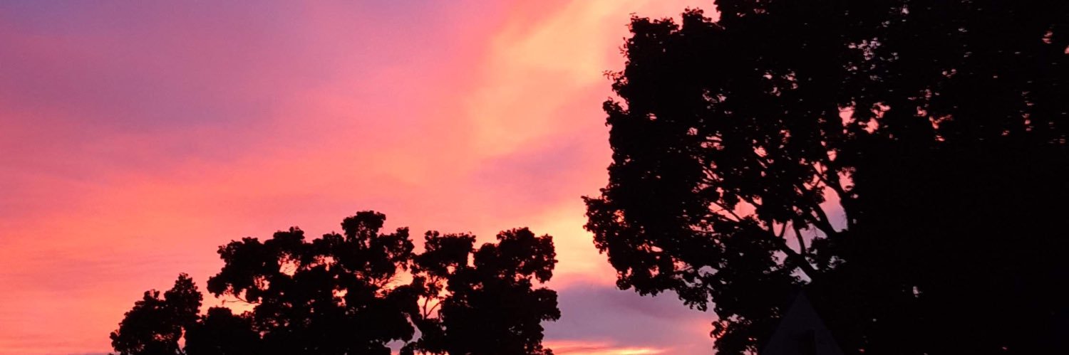 bi banner