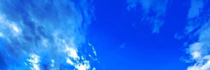 める banner