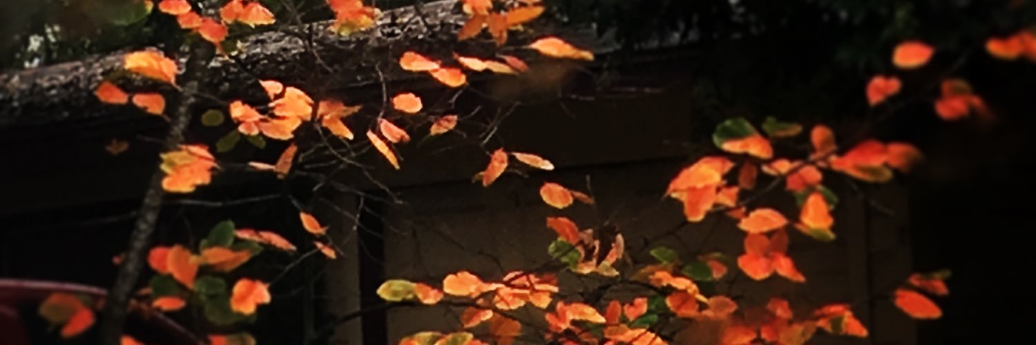 NatD_LMT's profile banner image