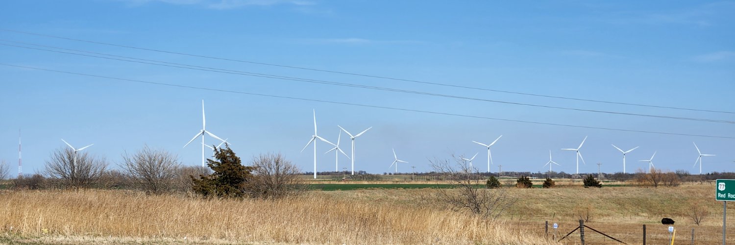 PatBryant2020 banner