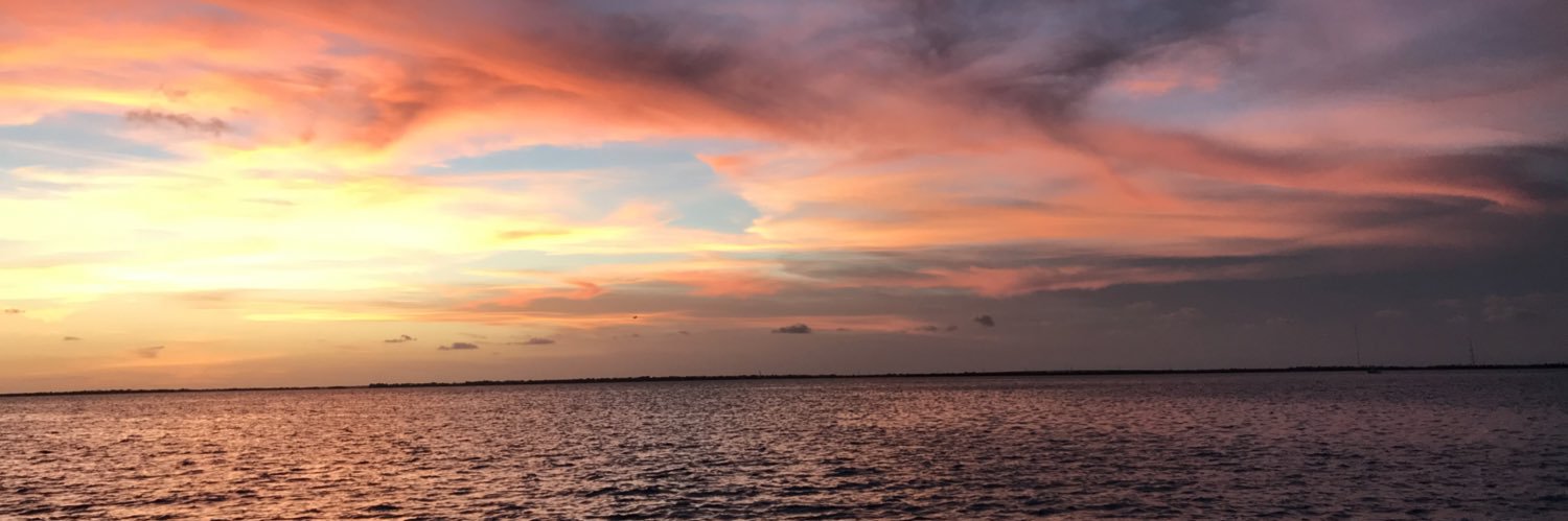 Tracey Schock Johnston banner