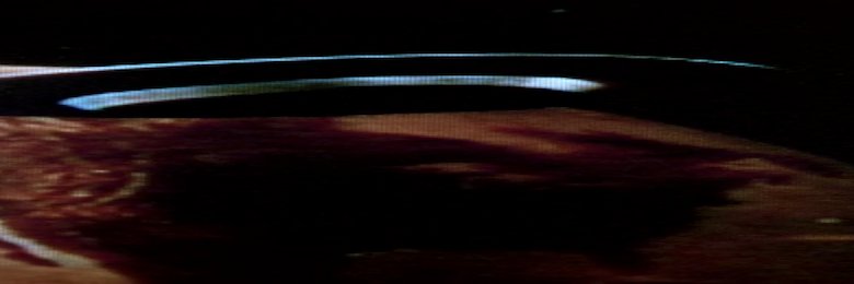 𝕎𝕙𝕚𝕥𝕖𝔽𝕝𝕪 🚀✨👽 banner