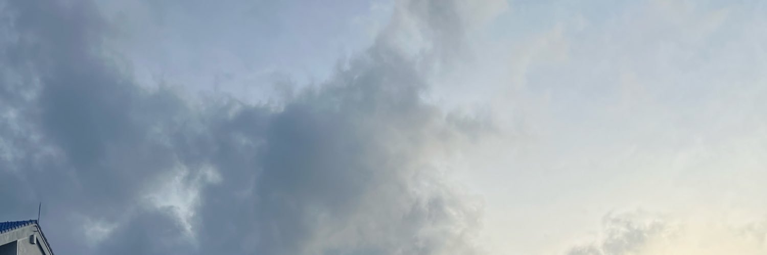 z_99 banner