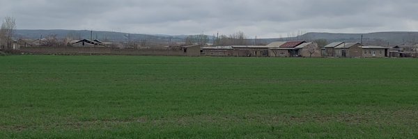 TurniyazovM Profile Banner