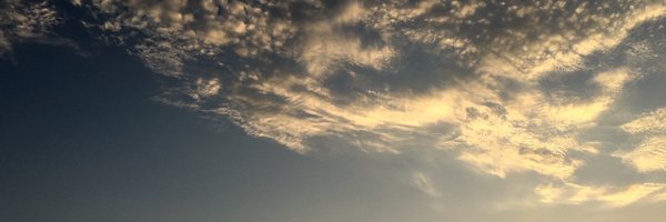 tjhill Profile Banner