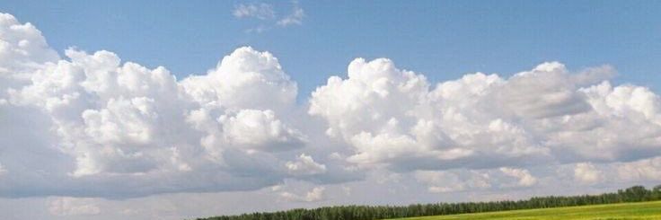 z banner