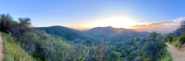 cardoni Profile Banner