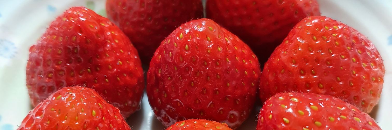 슈퍼히어러 banner