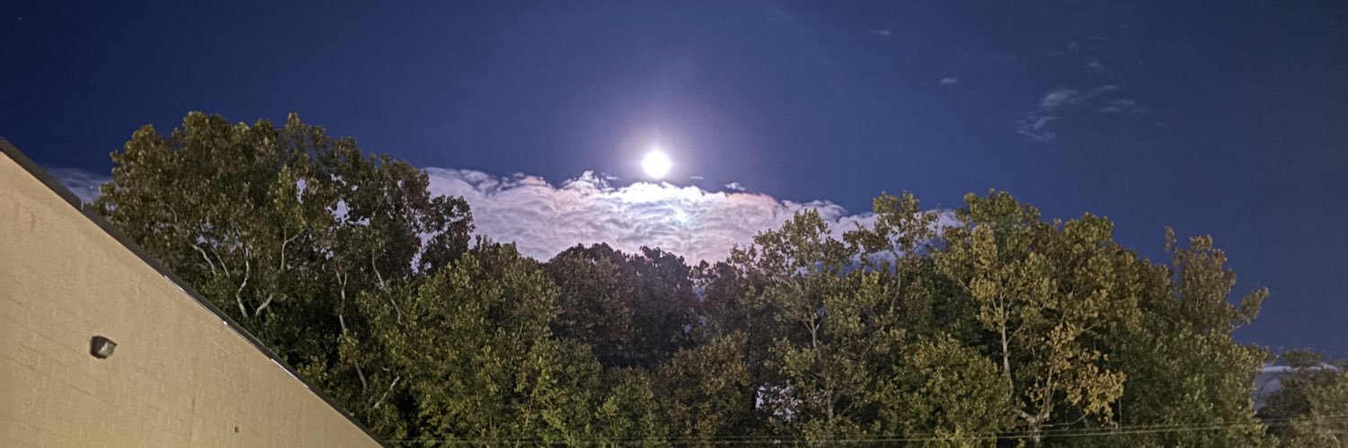Wells_Lizzy99's profile banner image