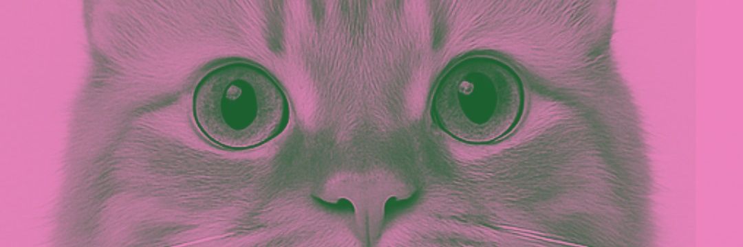 aissy621's profile banner image