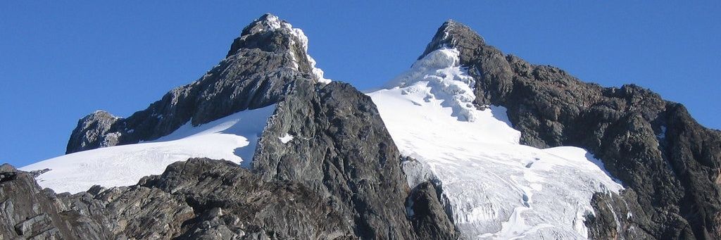 Mwitu Tours and Travel 🏔️🕊️🌲 banner