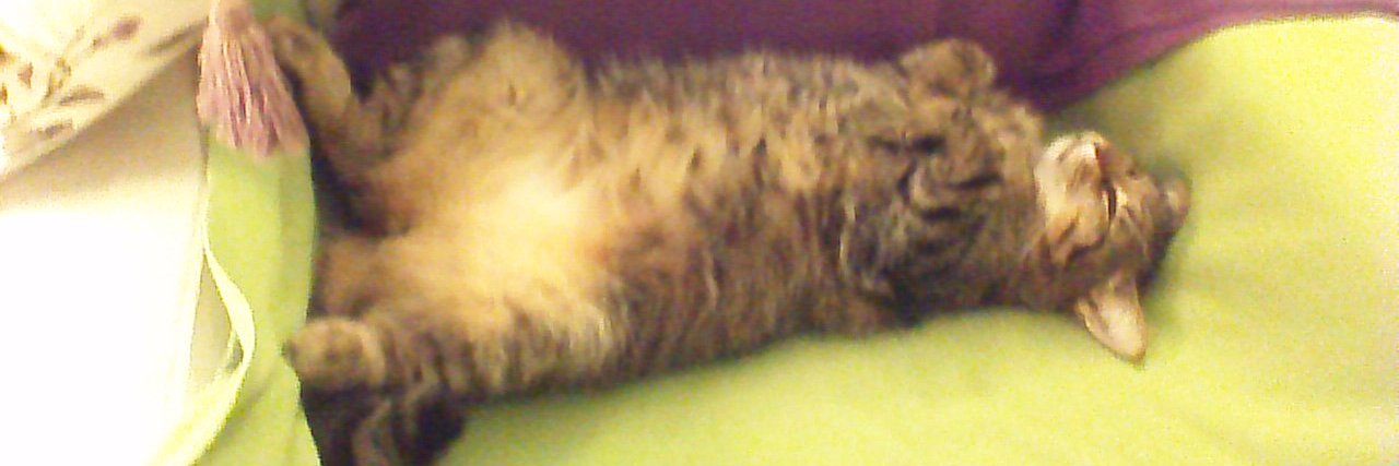 kuma62158985's profile banner image