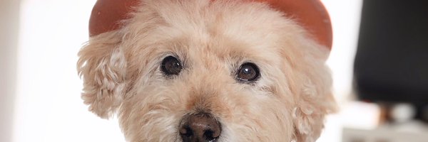 Emis_diary Profile Banner