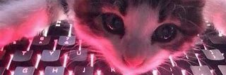 Luna banner