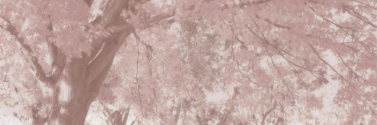 lllevvcov's profile banner image
